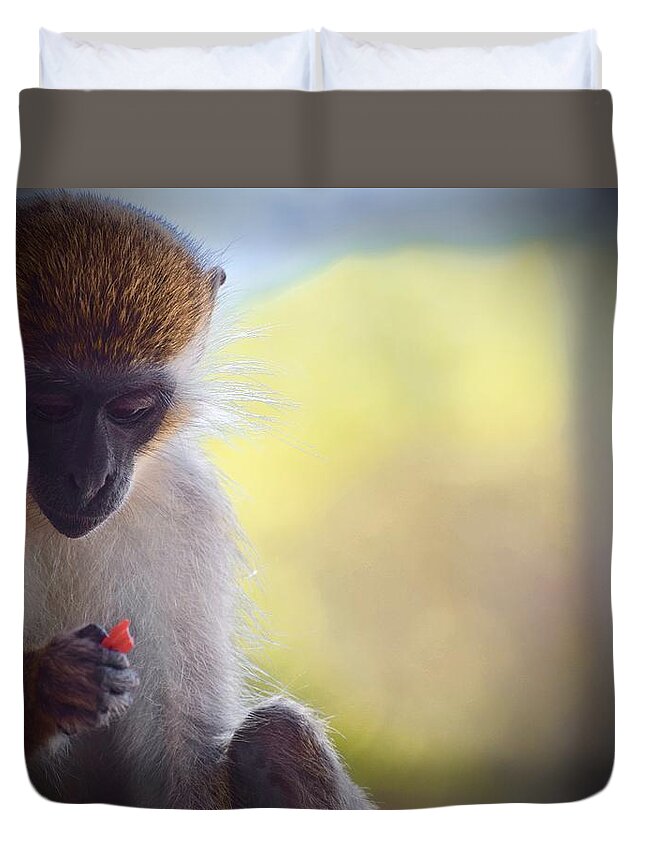 Monkey Duvet Cover featuring the photograph Red Candy by Debra Grace Addison