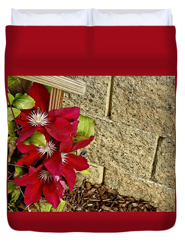 Clematis Duvet Cover featuring the photograph Red Clematis by Kathy Chism