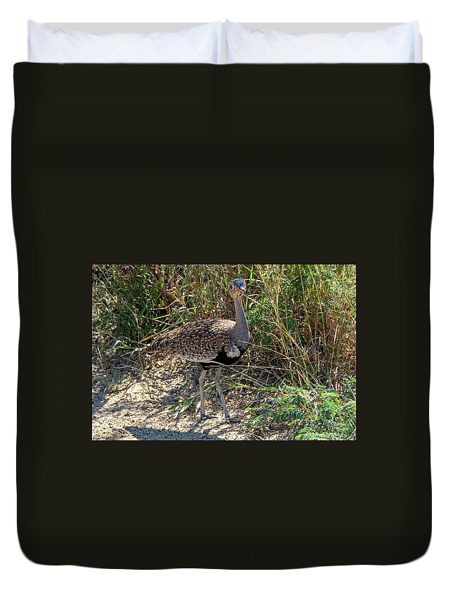 Red-crested Bustard Duvet Cover featuring the photograph Red-Crested Bustard of Kruger by Douglas Wielfaert