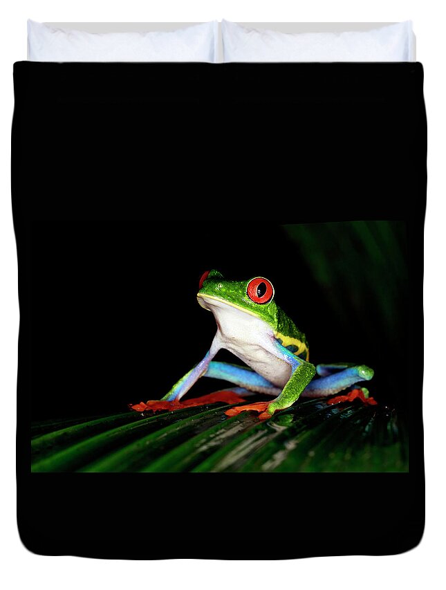 Animal Themes Duvet Cover featuring the photograph Red-eye by Mlorenzphotography