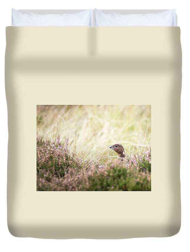 Female Red Grouse Duvet Cover featuring the photograph Red Grouse by Anita Nicholson