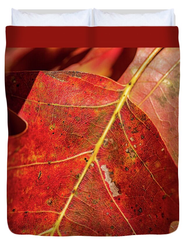 Fall Duvet Cover featuring the photograph Nature Photography - Fall Leaves by Amelia Pearn