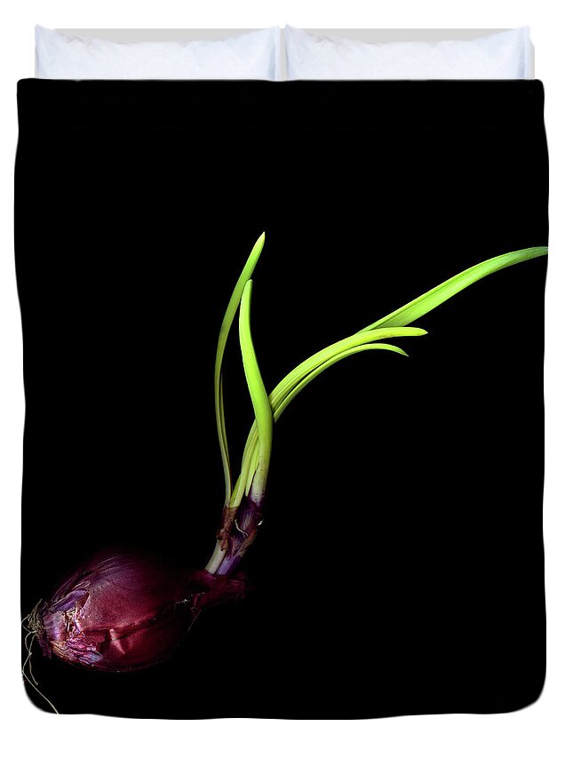 Black Background Duvet Cover featuring the photograph Red Onion Bulb by Photograph By Magda Indigo
