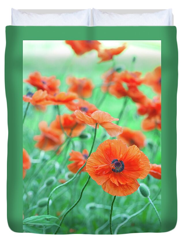 Petal Duvet Cover featuring the photograph Red Poppy Flower Field - X by Alpamayophoto