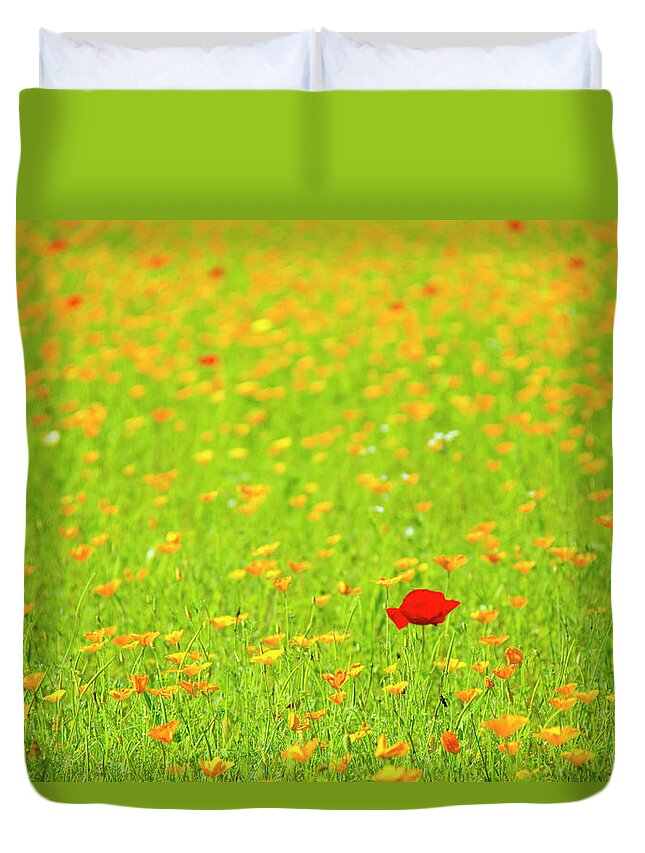 Grass Duvet Cover featuring the photograph Red Poppy Flower In Field Of Yellow by Daisuke Morita