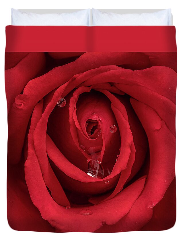 Rose Duvet Cover featuring the photograph Red Rose by Arthur Oleary