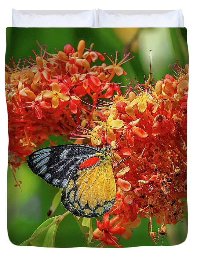 Nature Duvet Cover featuring the photograph Red-spot Jezebel Butterfly DTHN0235 by Gerry Gantt