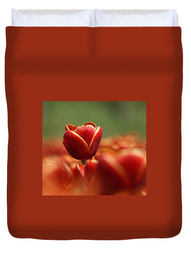 Netherlands Duvet Cover featuring the photograph Red Tulip Against A Soft Background by Chantal