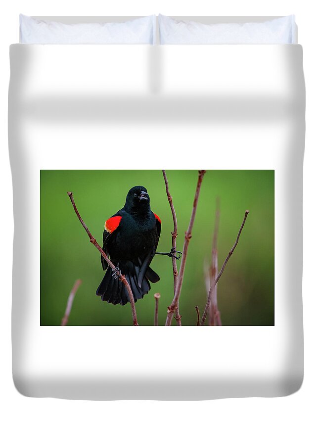 Missouri Duvet Cover featuring the photograph Red Winged Blackbird by Jeff Phillippi