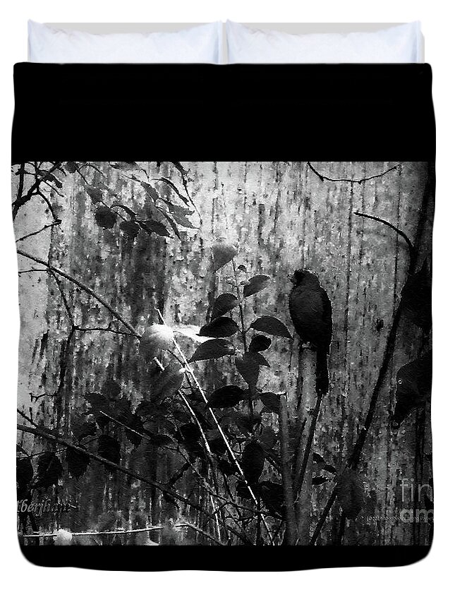 Red Birds Duvet Cover featuring the photograph Redbird Enjoying the Clarity of a Blue and Green Black and White Moment by Aberjhani