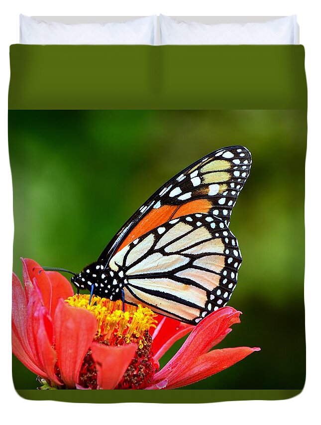 Monarch Butterflies Duvet Cover featuring the photograph Remembrance Sweet Angel Boy by Lisa Wooten
