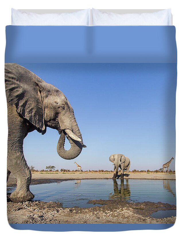 Scenics Duvet Cover featuring the photograph Remote Camera View Of African by Paul Souders