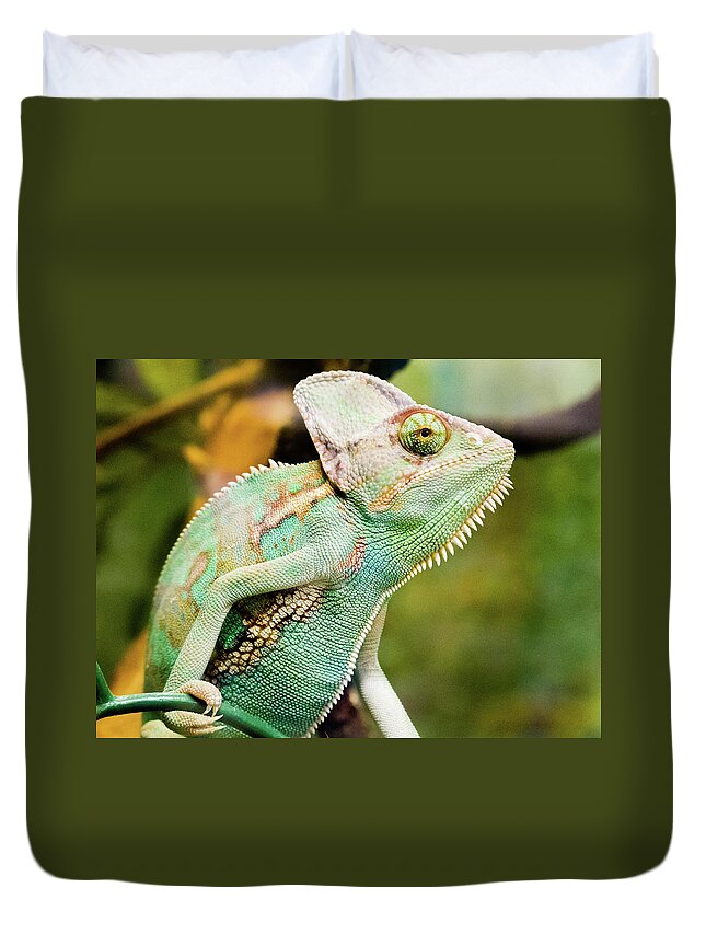 Toronto Duvet Cover featuring the photograph Reptile In Terrarium by Image By Leigh Miller