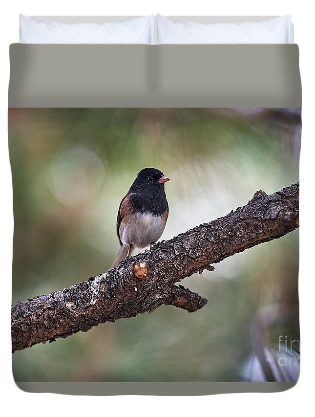 Bird Duvet Cover featuring the photograph Resting Bird by Robert WK Clark