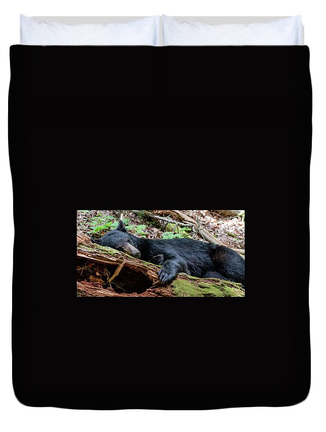 Black Bear Duvet Cover featuring the photograph Resting Comfortably by Marcy Wielfaert
