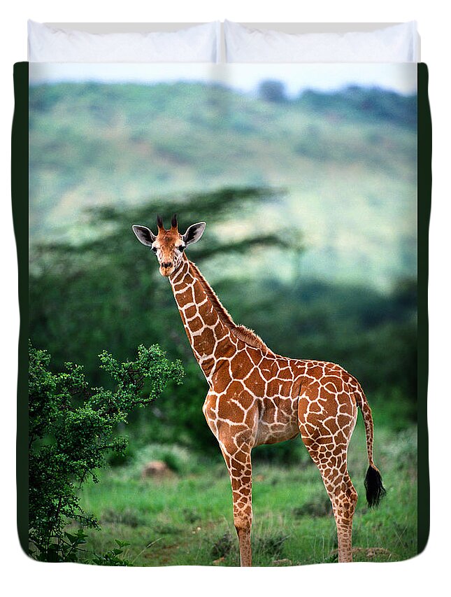 Giraffe Calf Duvet Cover featuring the photograph Reticulated Giraffe, Serengeti Nat by Art Wolfe