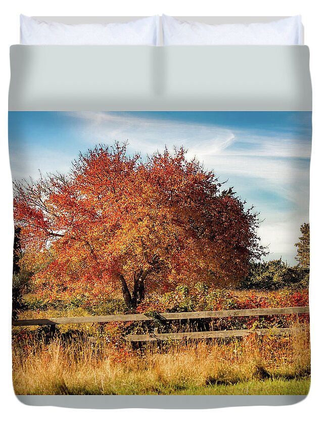 Rhode Island Fall Foliage Duvet Cover featuring the photograph Rhode Island Audubon in Fall Colors by Jeff Folger