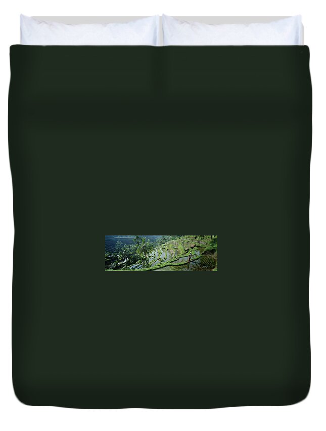 Rice Paddy Duvet Cover featuring the photograph Rice Terraces, Bali, Indonesia by Peter Adams