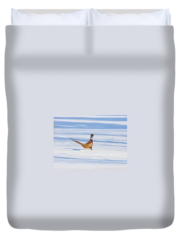 Snow Duvet Cover featuring the photograph Ring-necked Pheasant by Ed Matuod