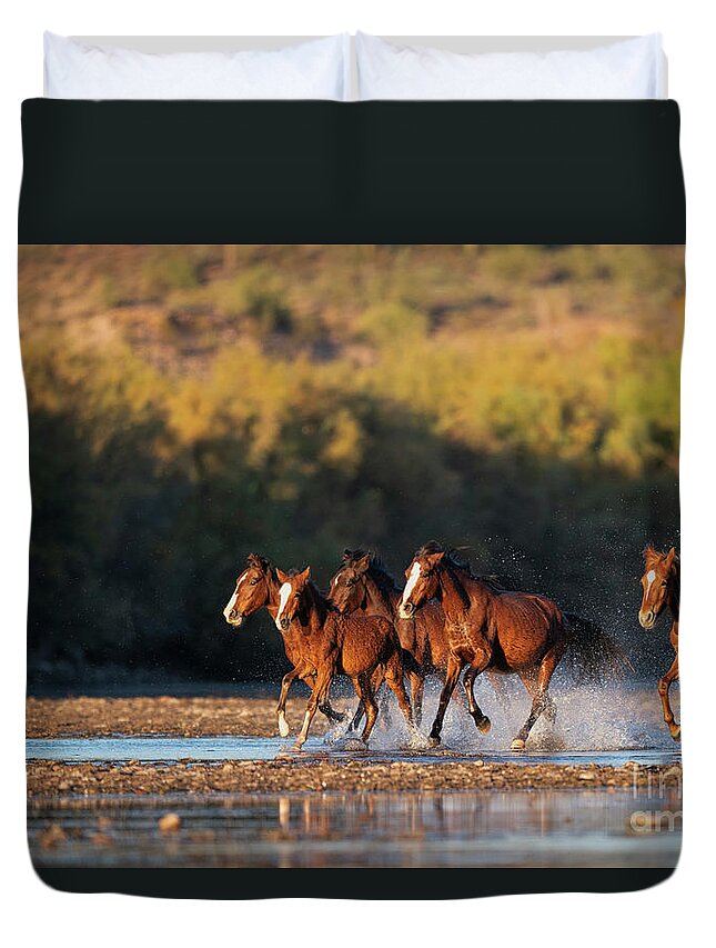 Salt River Wild Horses Duvet Cover featuring the photograph River Run 3 by Shannon Hastings