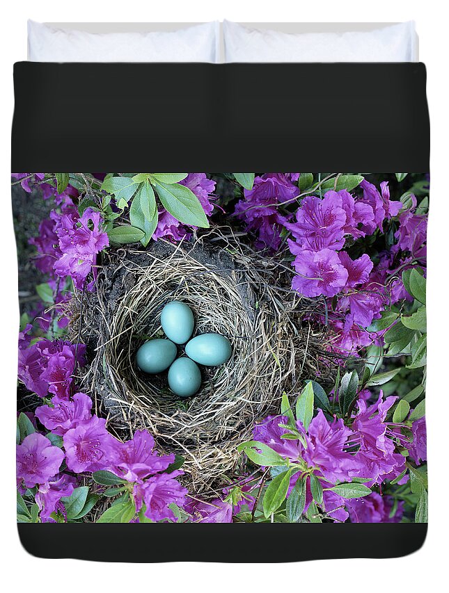 Security Duvet Cover featuring the photograph Robins Nest In Azalea Bush, Spring by Art Wolfe