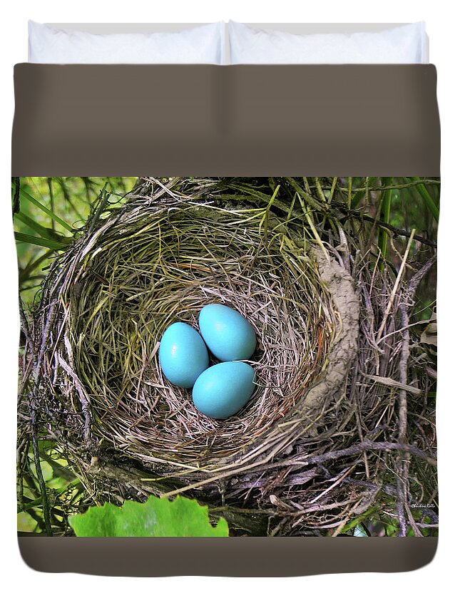 Robins Nest Duvet Cover featuring the photograph Robins Nest With Eggs by Christina Rollo