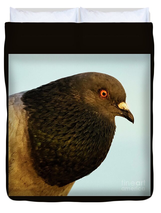 Closeup Duvet Cover featuring the photograph Rock Pigeon Headshot Closeup by Pablo Avanzini