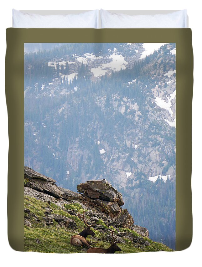 Rocky Duvet Cover featuring the photograph Rocky Mountain Elk 2 by Richard A Brown