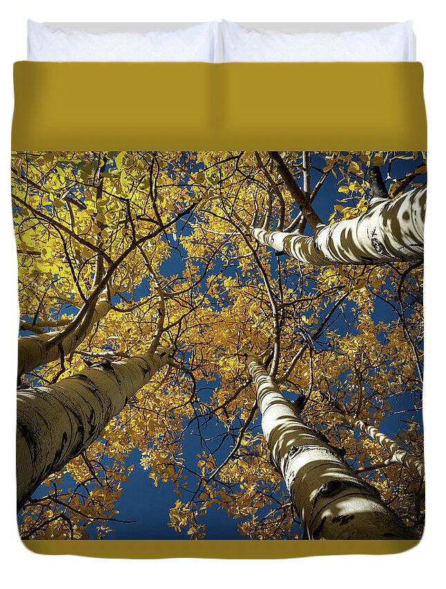 Rocky Mountain Fall Duvet Cover featuring the photograph Rocky Mountain Fall by George Buxbaum