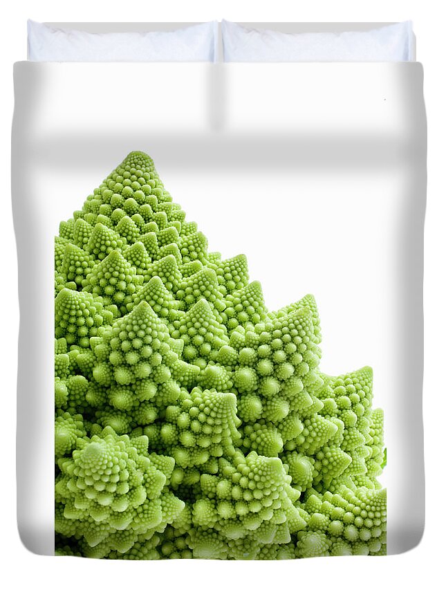 Broccoli Duvet Cover featuring the photograph Romanesco Broccoli Against White by Richard Clark