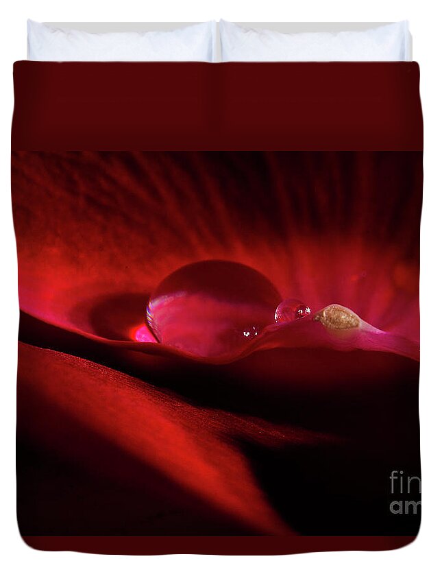 Rose Duvet Cover featuring the photograph Rose Petal Droplet by Mike Eingle