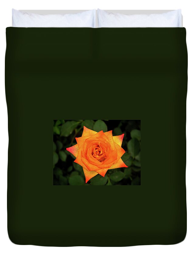 Orange Color Duvet Cover featuring the photograph Rose by Suyog Gaidhani