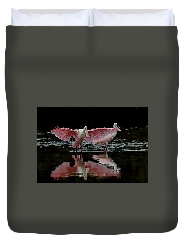 Spoonbill Duvet Cover featuring the photograph Roseate Spoonbills by Jim Bennight