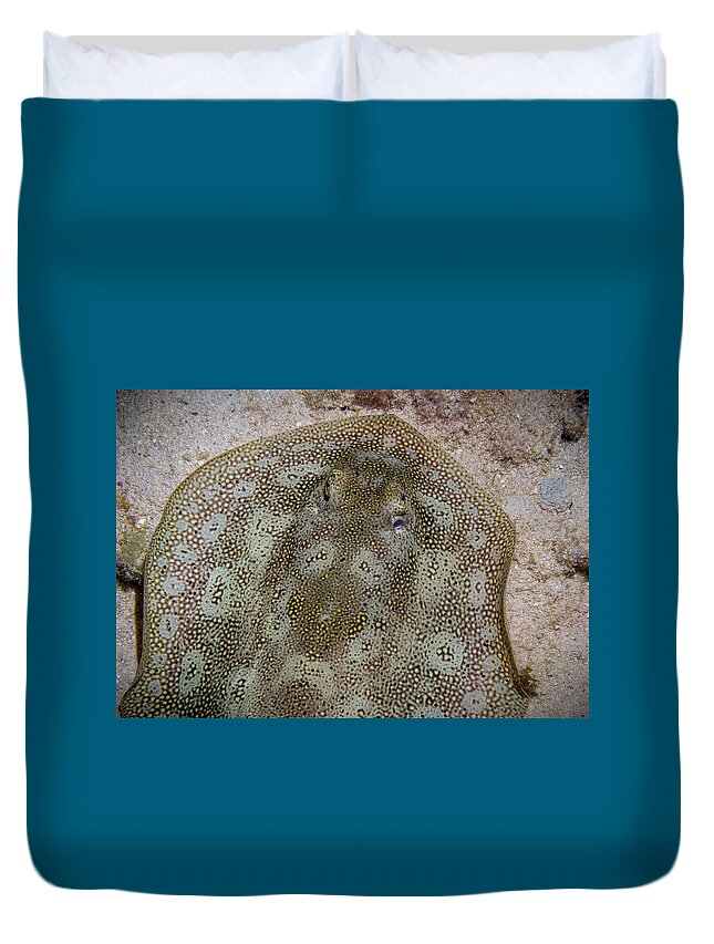 Jean Noren Duvet Cover featuring the photograph Round Stingray Eyes by Jean Noren