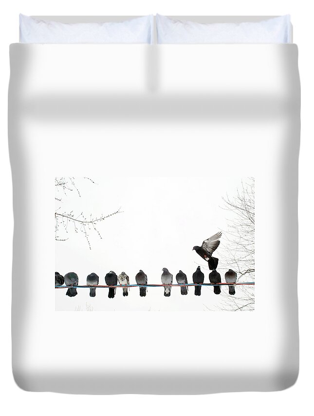 In A Row Duvet Cover featuring the photograph Row Of Pigeons On Wire by Ernest Mcleod