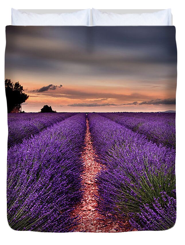Landscape Duvet Cover featuring the photograph Rows of happiness by Jorge Maia