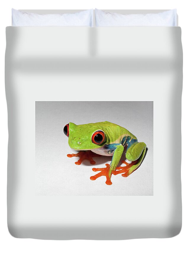 White Background Duvet Cover featuring the photograph Rozen The Red Eyed Tree Frog by By Michael A. Pancier