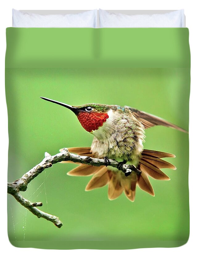 Hummingbird Duvet Cover featuring the photograph Ruby Throated Hummingbird 4 by Christina Rollo