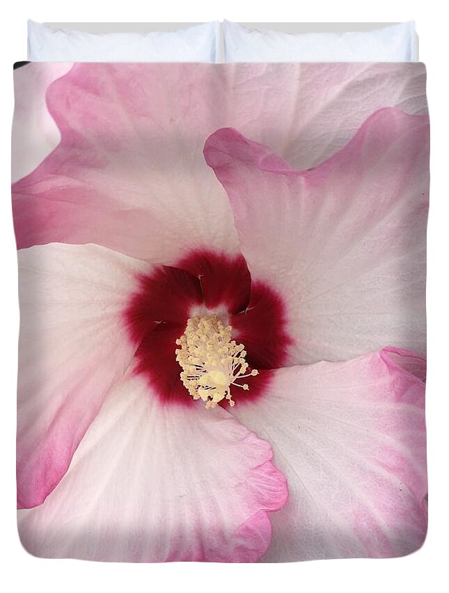Hibiscus Duvet Cover featuring the photograph Ruffles and Ruby by Anjel B Hartwell