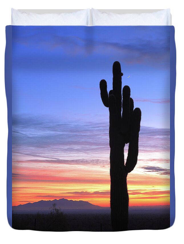 Saguaro Cactus Duvet Cover featuring the photograph Saguaro Valley by Dustypixel