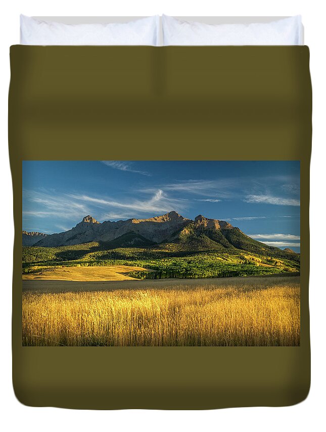Aspens Duvet Cover featuring the photograph San Juan Gold Grass by Johnny Boyd