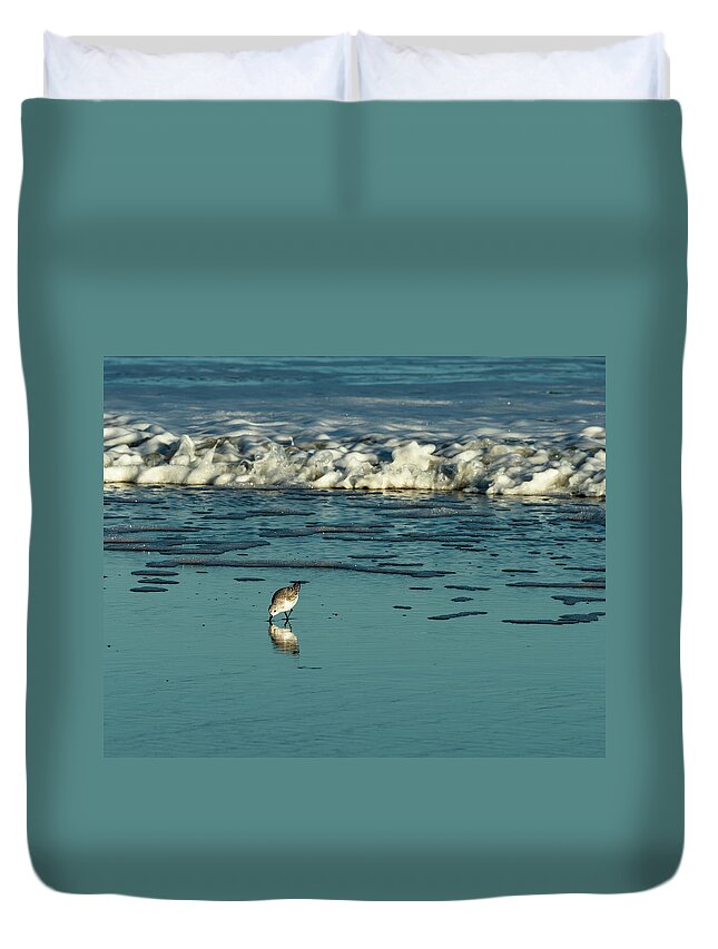 Sandpiper Duvet Cover featuring the photograph Sanderlings at Assateague Island National Seashore II by William Dickman
