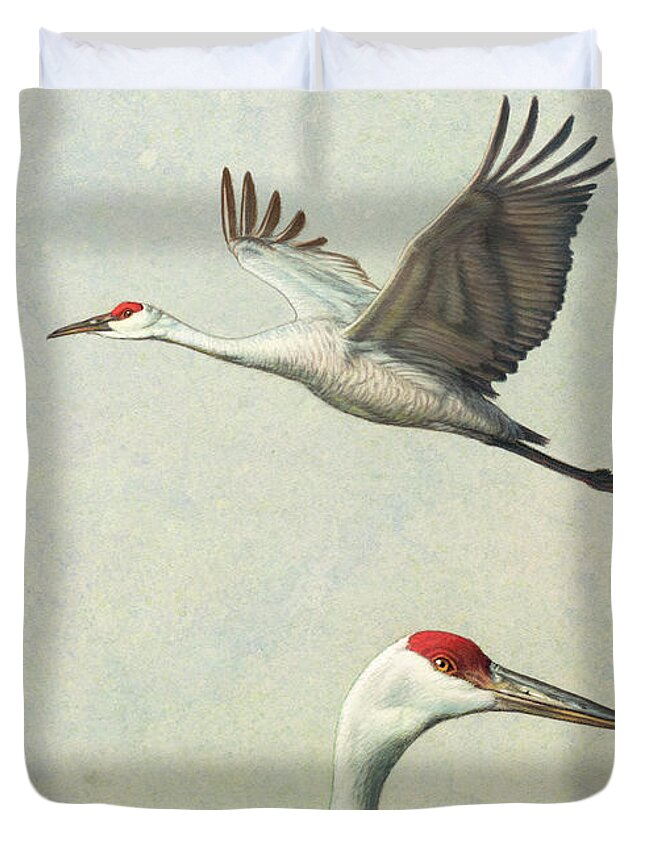 Sandhill Cranes Duvet Covers