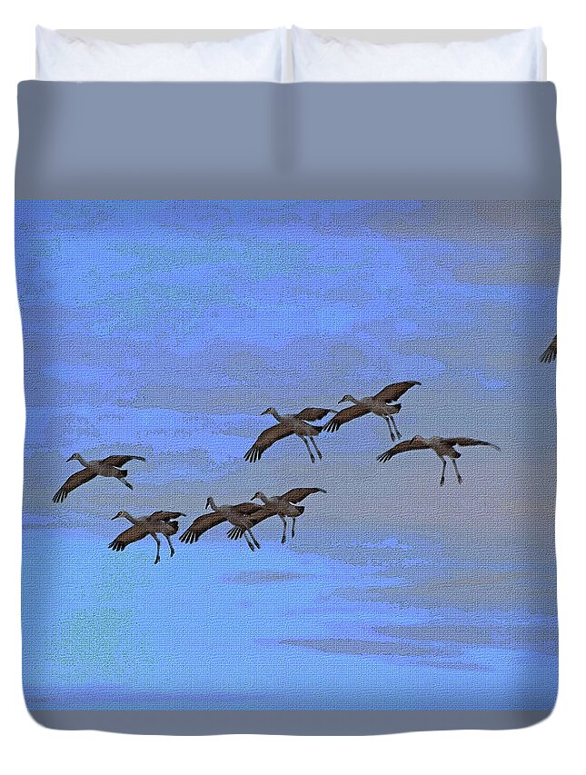 Sandhill Cranes Landing At White Water Draw Arizona Duvet Cover featuring the digital art Sandhill Cranes Landing At White Water Draw Arizona by Tom Janca