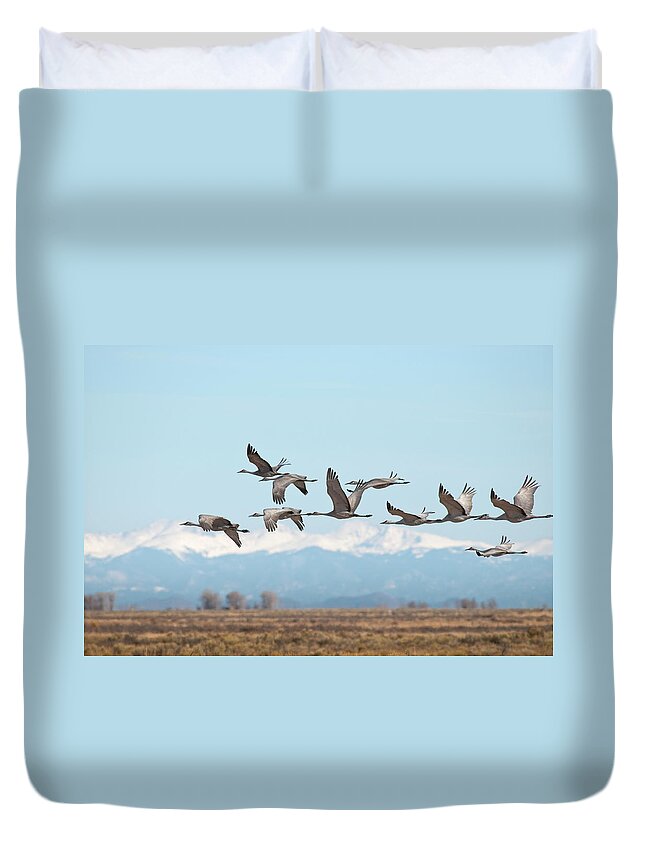 San Luis Valley Duvet Cover featuring the photograph Sandhill Cranes Over Monte Vista by Skibreck