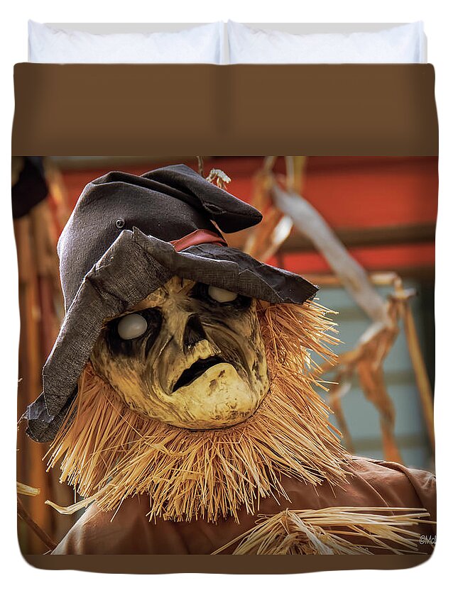 Halloween Duvet Cover featuring the photograph Scarecrow On Tillson Street by LeeAnn McLaneGoetz McLaneGoetzStudioLLCcom