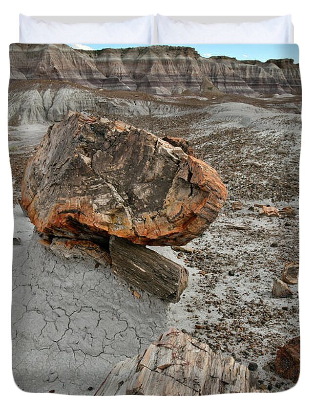 Petrified Forest National Park Duvet Cover featuring the photograph Scenic Trail in Blue Mesa of Petrified Forest by Ray Mathis