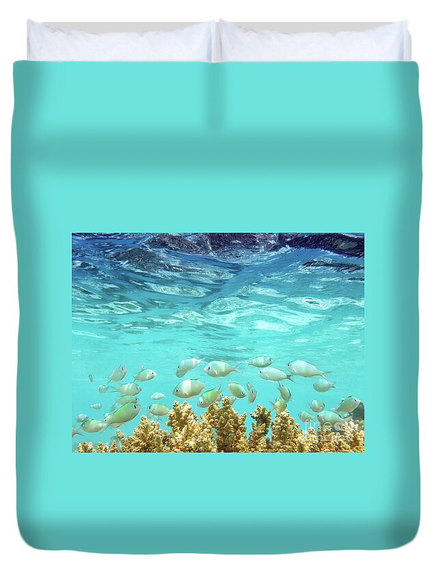 Coral Reef Duvet Cover featuring the photograph School in the Blue Lagoon by Becqi Sherman