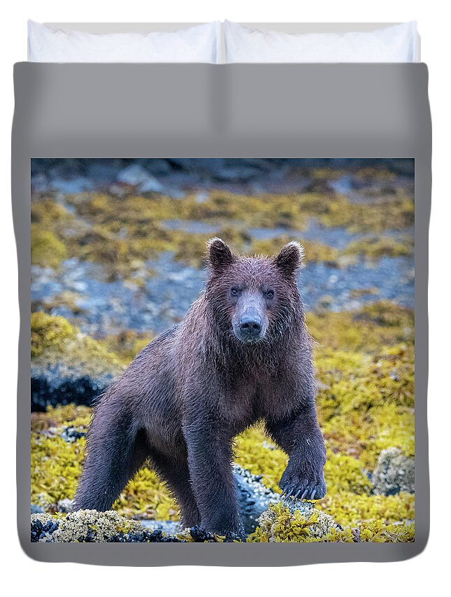 Bear Duvet Cover featuring the photograph Scrutiny by Mark Hunter