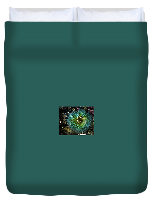 Duvet Cover featuring the photograph Sea Anemone I by Dr Janine Williams
